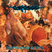 Exhume To Consume by Carcass
