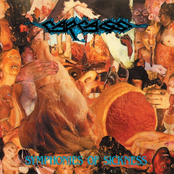 Swarming Vulgar Mass Of Infected Virulency by Carcass