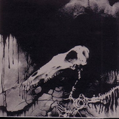 ...And The Moon Became A Fang