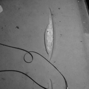 1st & 2nd rooms (demo)