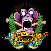 Los Kung-Fu Monkeys