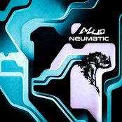 Neumatic