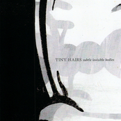 Subtle Invisible Bodies