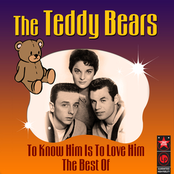 You Said Goodbye by The Teddy Bears