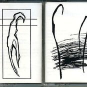 Voices In A Dark Room