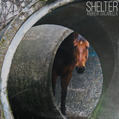 Shelter