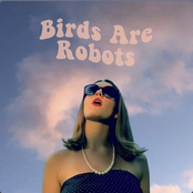 Birds Are Robots