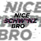 Nice Schwanz Bro (Polska Remix)