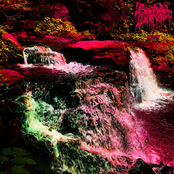 Mescaline Power II (Part II)