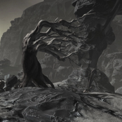 Wasteland