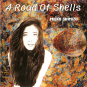 A Road of Shells