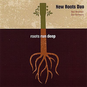 Roots Run Deep