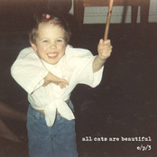 All Cats Are Beautiful: e/p/3