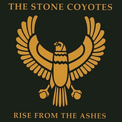 Rock Harder Than You by The Stone Coyotes