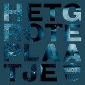 Het Grote Plaatje