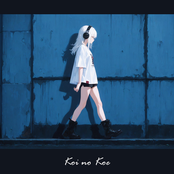 ただ散歩したいだけ