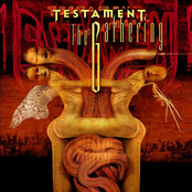 Hammer Of The Gods by Testament