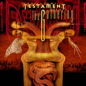 True Believer by Testament