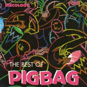 Jump The Line by Pigbag