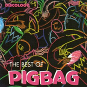 The Best Of Pigbag