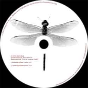 Birdwings Radio Single