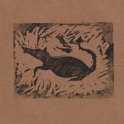 Allston Summer Rattland