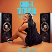 Shake It To The Max (FLY) - Single