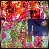 Dragon Transmissions