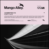 Augmented 014 / Forty Cats