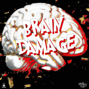 BRAIN DAMAGE