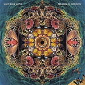 Creature Of Curiosity