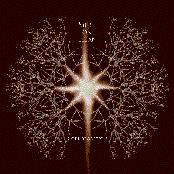 Corroboration