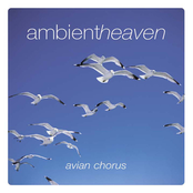 Ambient Heaven - Avian Chorus
