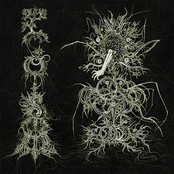 Sidereal Malignancy CD/TAPE