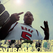 average joe