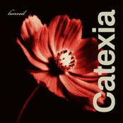 Catexia - Single