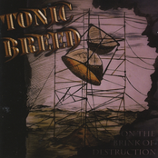 On The Brink Of Destruction by Tonic Breed