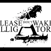Please Don't Wake Alligator