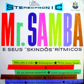 mr. samba