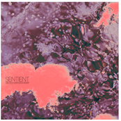 Sentient
