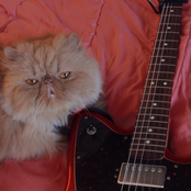 Connections and Feelings (2014-2022)