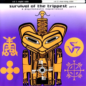 Survival Of The Trippest - Part II