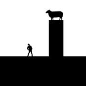 Electric Sheep Surfing Electric Waves