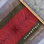 [des 020] snoweffect - rustic physiocrat