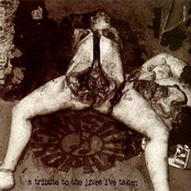 A Tribute to the Lives I've Taken