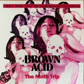 Brown Acid - The Ninth Trip