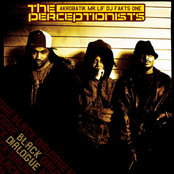 Breathe In The Sun by The Perceptionists