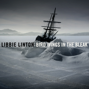 Bird Wings in the Bleak