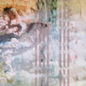 Big Tiger b/w S.A.M.