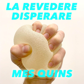 La Revedere Disperare